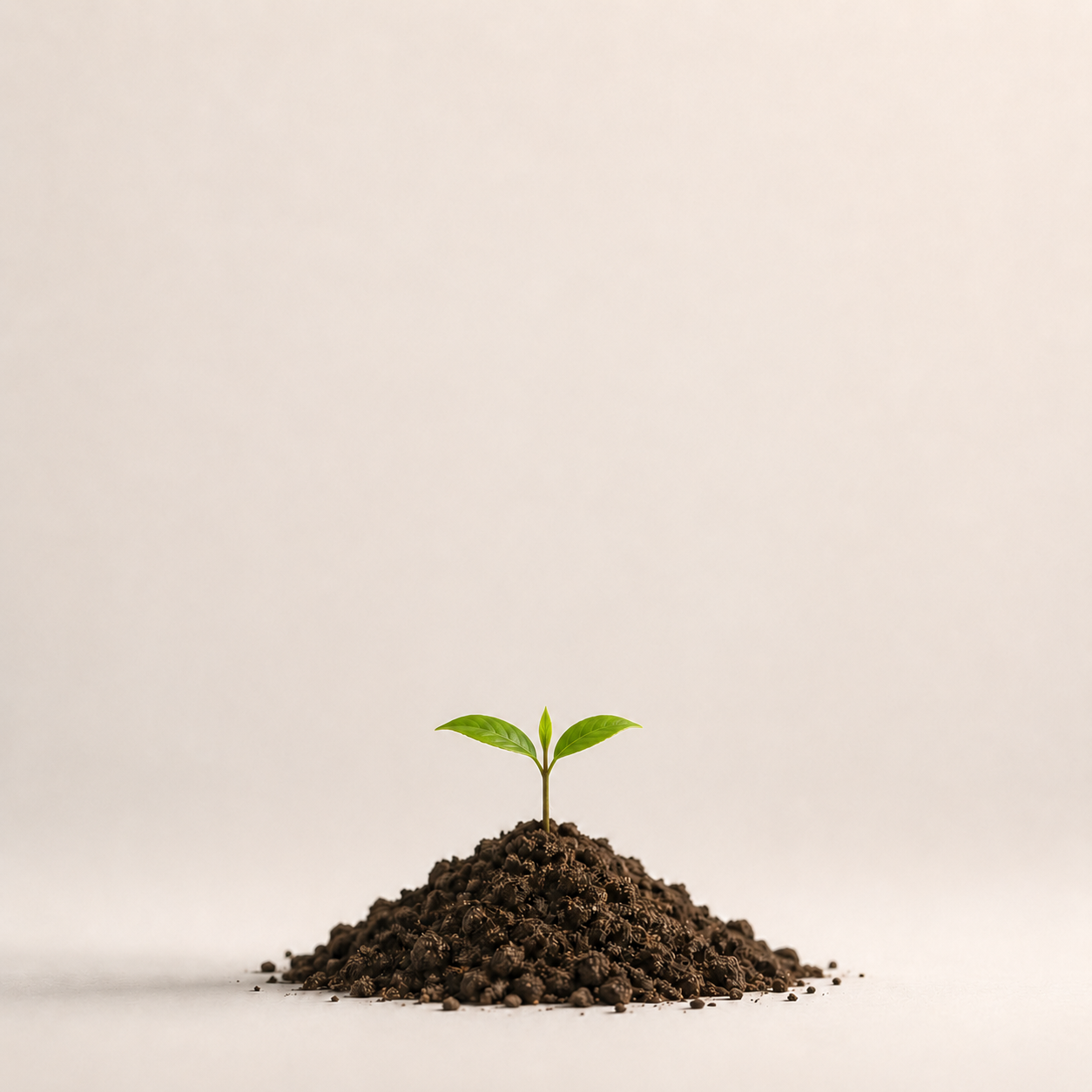 Sapling fáza 2